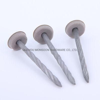 Umbrella Head Hot Dipped Roofing Nails with Washers