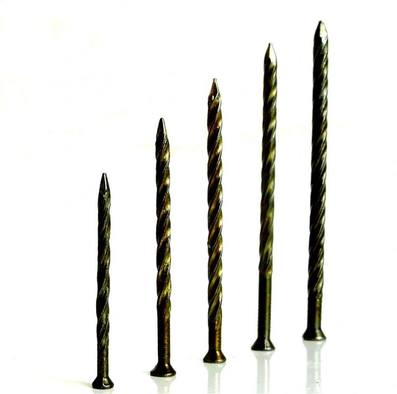 Galvanized Twisted Nail with High Quality in Guangzhou