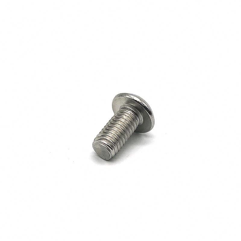 Stainless Steel 304/316 Torx Pan Head Security Screw with Pin