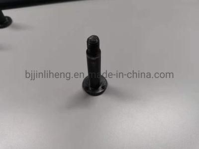 Chinese Welded Studs Customized According to Requirements