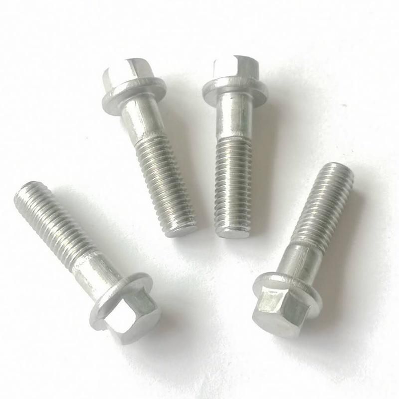 M8 Ss 304/316 Round Flange Hexagonal Fastener Bolts