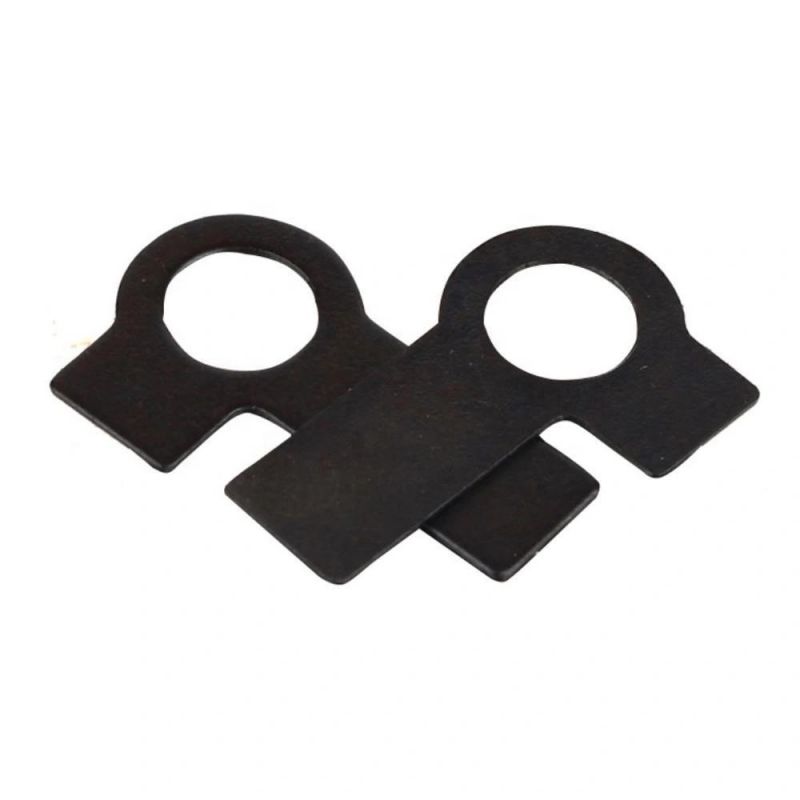 Direct Selling GB855 High Quality Black Zinc Plated Galvanized Carbon Steel Double Ear Brake Washer