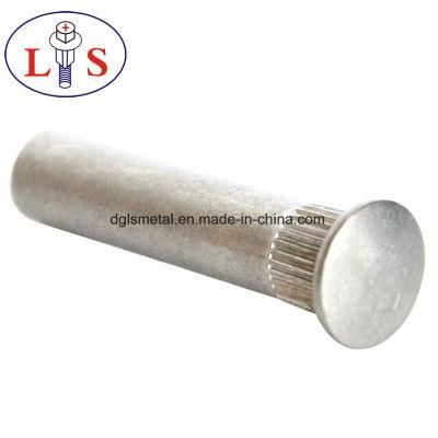 Factory Price Cusomized Different Kinds of Stud Rivets