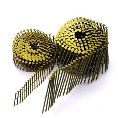 Electro Galvanized Steel Iron Roof Coil Nail Roofing Wire Nails Coil Nail