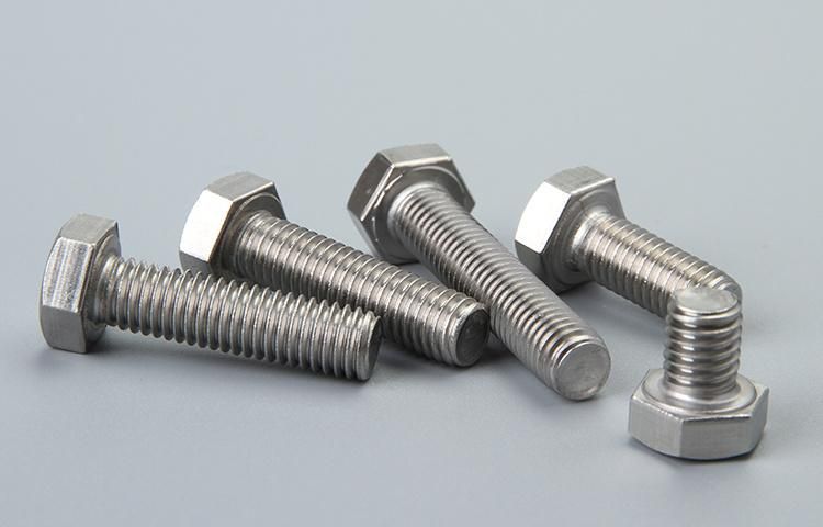 Made in China Stainless Steel Fastener Hex Bolt and Nut