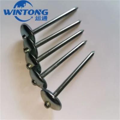 Galvanized Straight Pole Roofing Nail Hardware Appliances/Roofing Nail Asbestos Tile Nails