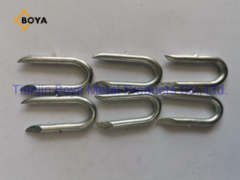 U Type Nail with Galvanized and Polished