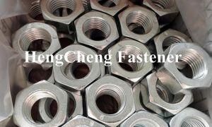 Hexagonal Nut M8/M10/M12/M14/M16