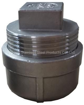 Plug, Stainless Steel 304/316, Pipe Fittings, Male Fitting, Square Head Plug