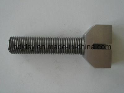 Steel Eye Bolt for Truck