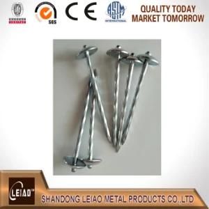 Galvanized Roofing Nail Factory