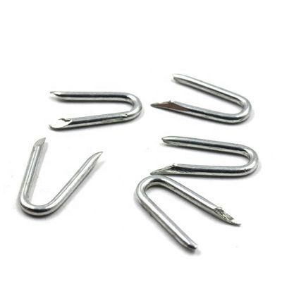 Hot Sale Electric Galvanized Clout Nail