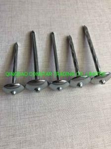Good Quality Twisted Roofing Nails for Roofing Materials