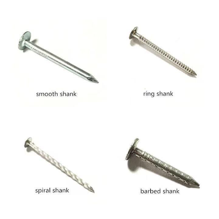 Hot DIP Galvanized Clout Nails /Hight Quality for Us Market