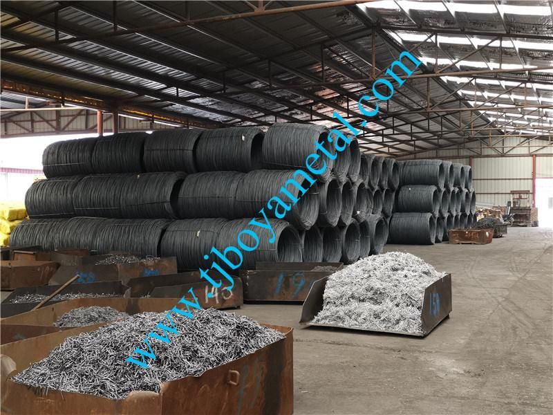 U Type Nail U-Type Nail Wire Nail Price Galvanized U Type Fence SOD Staple / U Type Wire Nail