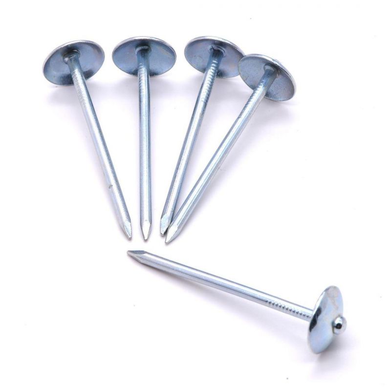 Zambia Namibia Market/Excellent Sales Iron Roofing Nails Corrugated Iron Nails 1 1/2 Inch