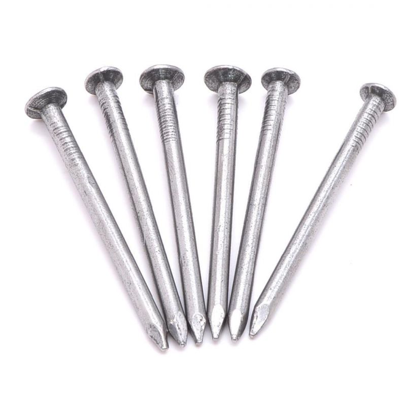 Common Wire Nail Quality Flat Head Common Nails Common Wire Nail Material
