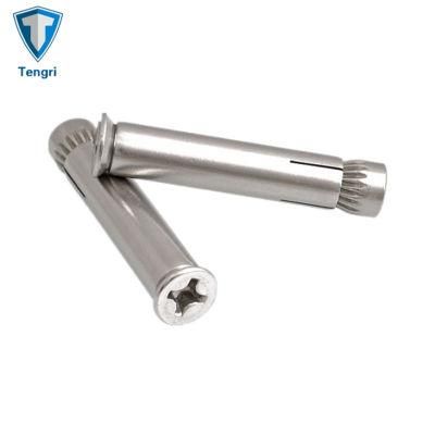 Phillip Countersunk Head Expansion Anchor Bolt for Construction
