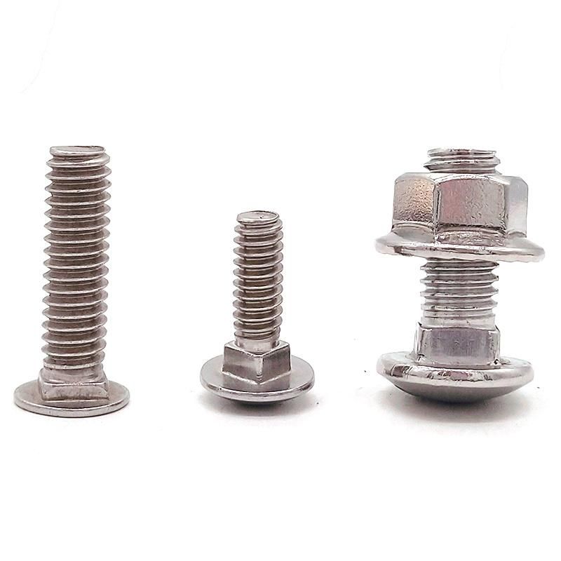 Stock Stainless Steel 304 316 Carriage Bolts -5