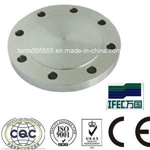 Stainless Steel Forged Flange (IFEC-FL100001)