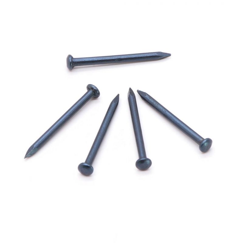 Manufacturer Stainless Steel Galvanized Concrete Carbon Steel Nail Concrete