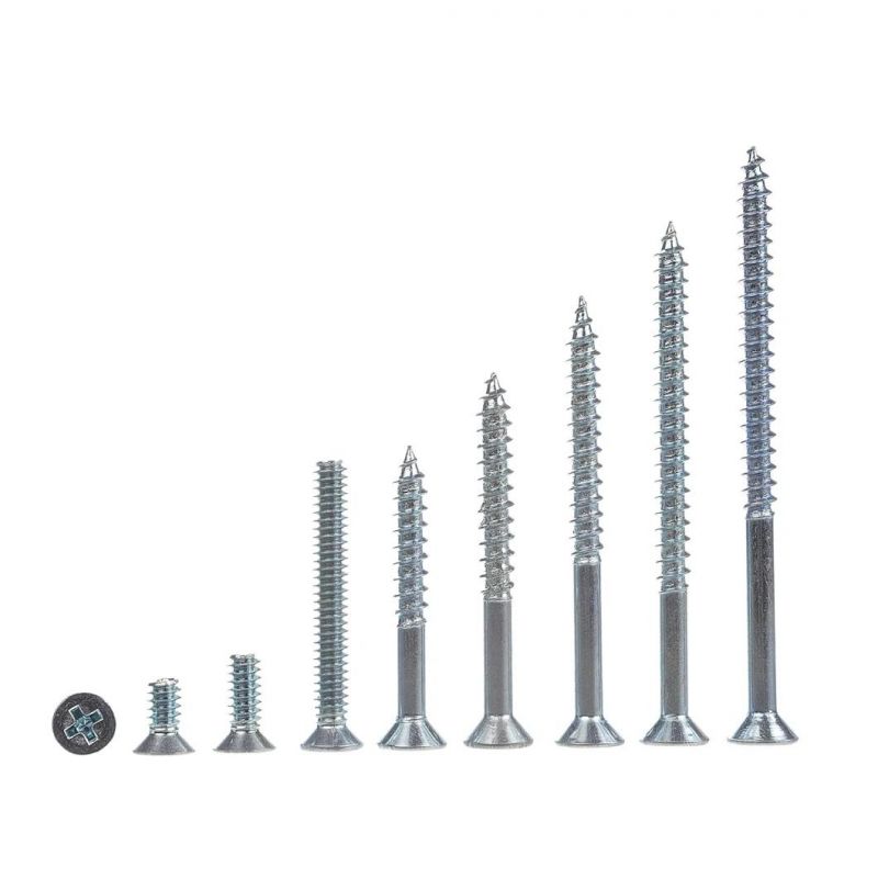 Stainless Steel Machine Screws/Self-Tapping Screws/Core Plate Screws/Dry Wall Screws/Self-Drilling Screw Wholesale Customized Fast Delivery