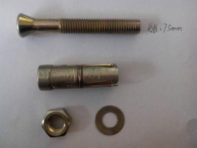 Expansion Bolt Fixing Bolt Anchor Expansion Bolt Zinc M10*65