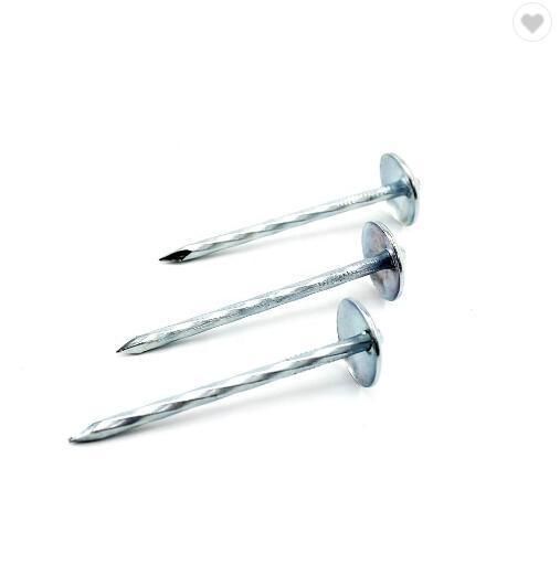 E. G 2 1/2" X Bwg9 50lb /Box Roofing Nails with Umbrella Head Rubber Washer /Common Nails