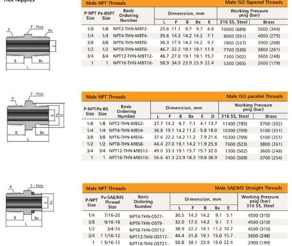 Chinese Factory NPT ISO Threads Instrument Pipe Fittings Stainless Steel Hex Nipples
