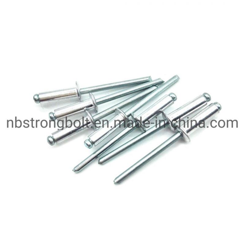 Open Rivet with Flat Round Head