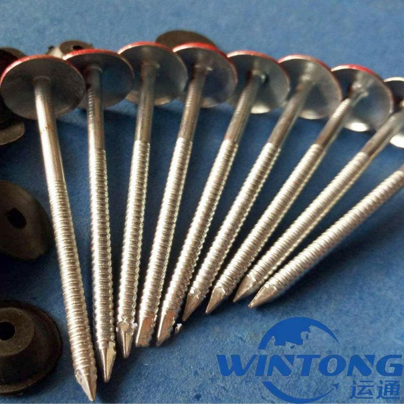 Roofing Nail / Hardware Accessories / Roofing Nail Manufacturer