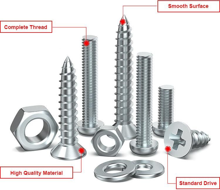 Round Head Screws Phillips Self Tapping Screws
