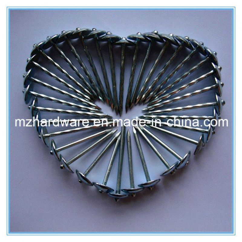 Umbrella Head Nail Galvanized Roofing Nail for Tanzania