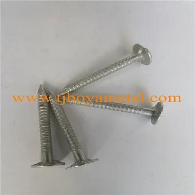 Ring Shank Nails on Sale