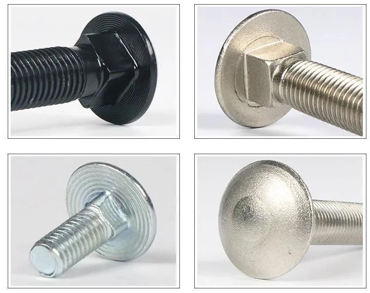Stainless Steel Flat Head Carriage Bolt and Nut Mushroom Head Round Head Carriage Bolt DIN603