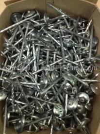 New Product Stock Common Wire Nail /Steel Concrete Nail / Twisted Nail