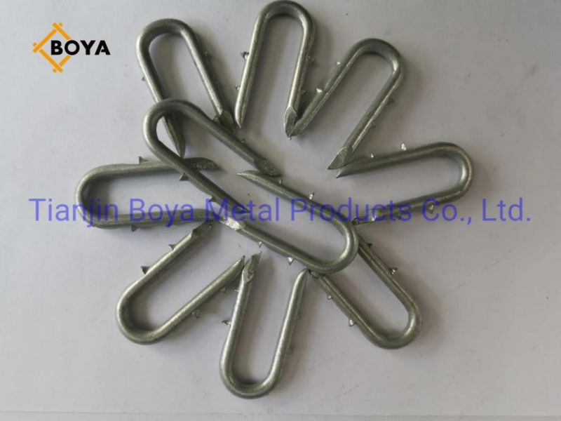 Factory Directly Supply Eg U Type Iron Nail for Fence