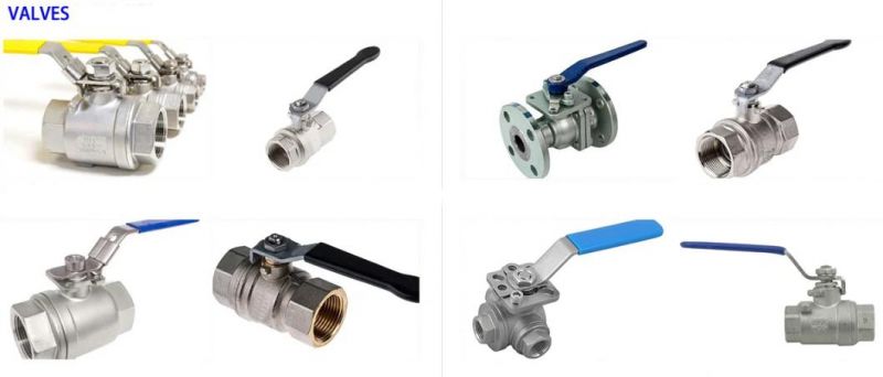 Pex PPR Pipe Fitting CPVC PVC Brass Adaptor
