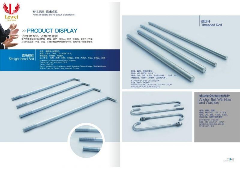 Wedge Anchor Bolt Expansion Bolt Sleeve Anchor Bolt Steel Anchor Bolt Foundation Bolt Foundation Anchor Bolt Self Drilling Anchor Bolt Anchor Eye Bolt Concrete