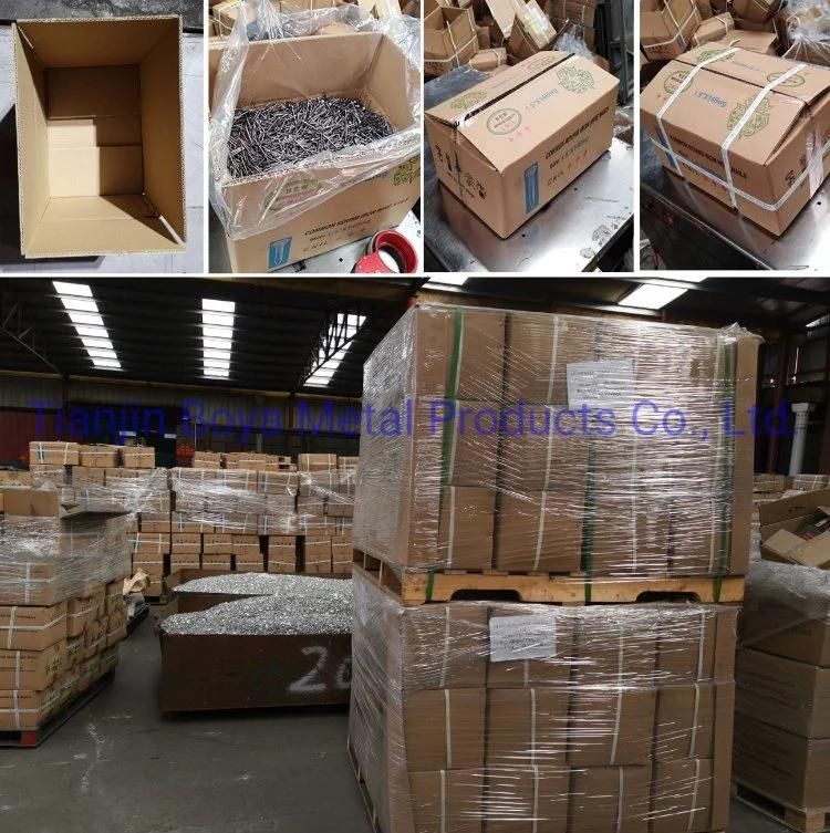 Hardware Fasteners Good Polished 1" - 6"Common Steel Wire Pallet Nail with Factory Price