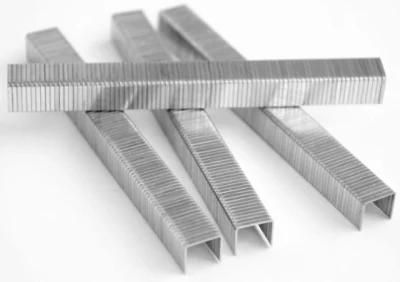22gauge&#160; Fine Crown Air Staple Pneumatic Staple 1010f