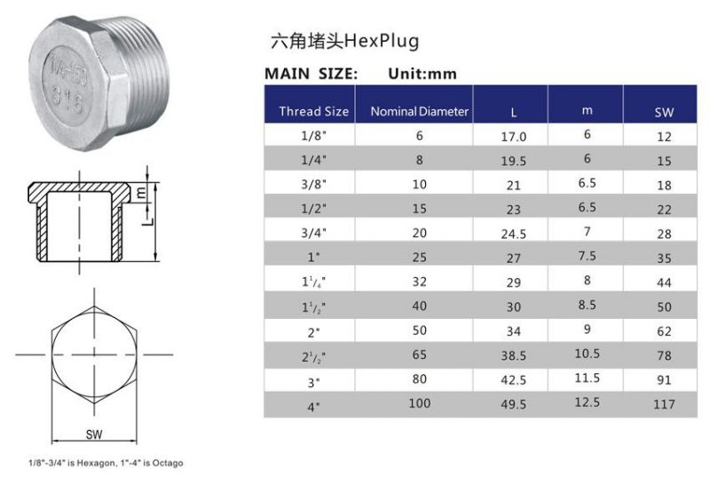 Stainless Steel Hex Plug Pipe Fitting