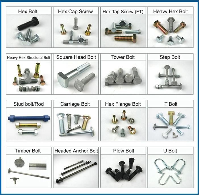 Stainless Steel 316L M4 Screw 4.0X30