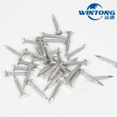 Galvanized Cement Steel Nail, Galvanized Nails, Concrete Nail