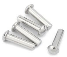 Stainless Steel 304 Half Round Head Solid Rivet Round Head Rivet Solid Rivet