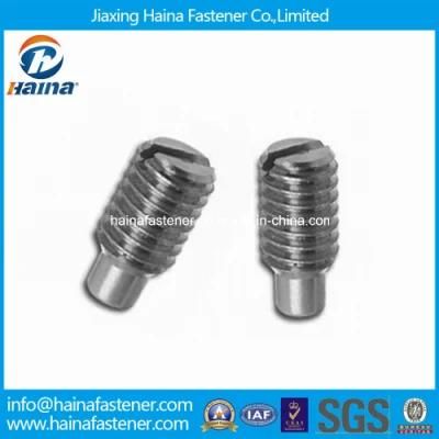 DIN417 Stainless Steel Slotted Set Screws with Long Dog Point