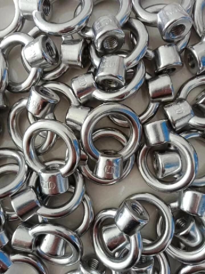 Stainless Steel304/316 DIN582 Eye Nut of Rigging Hardware