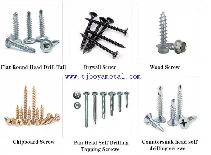 High Quality Black Fine Thread Drywall Screw Manufacturer/Supply Bugle Head Black Gypsum Board Screw Drywall Screw Tianjin