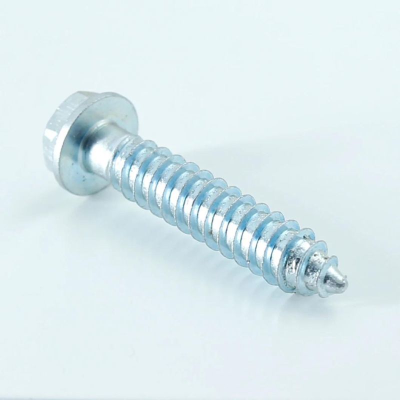 Chinese Manufacturer Customized DIN 571 All Sizes High Quality Hex Head Wood Screw