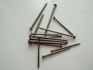 Common Iron Nails